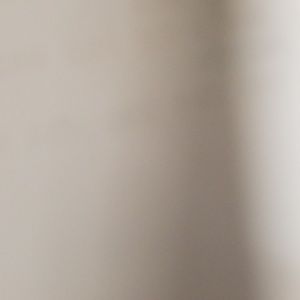 Meet your Posher, Chase